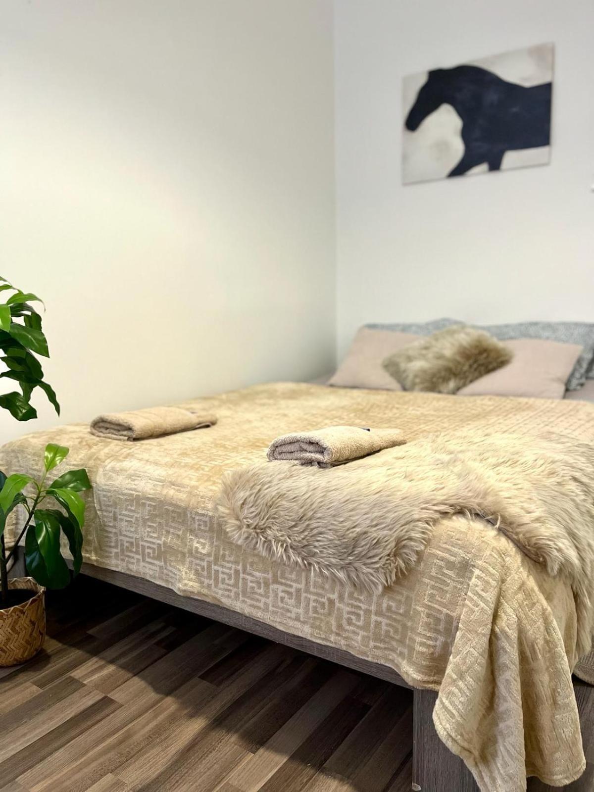ברטיסלאבה Apartment Adele - Old Town מראה חיצוני תמונה